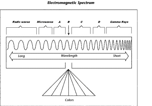 Which letter indicates X-rays?-example-1