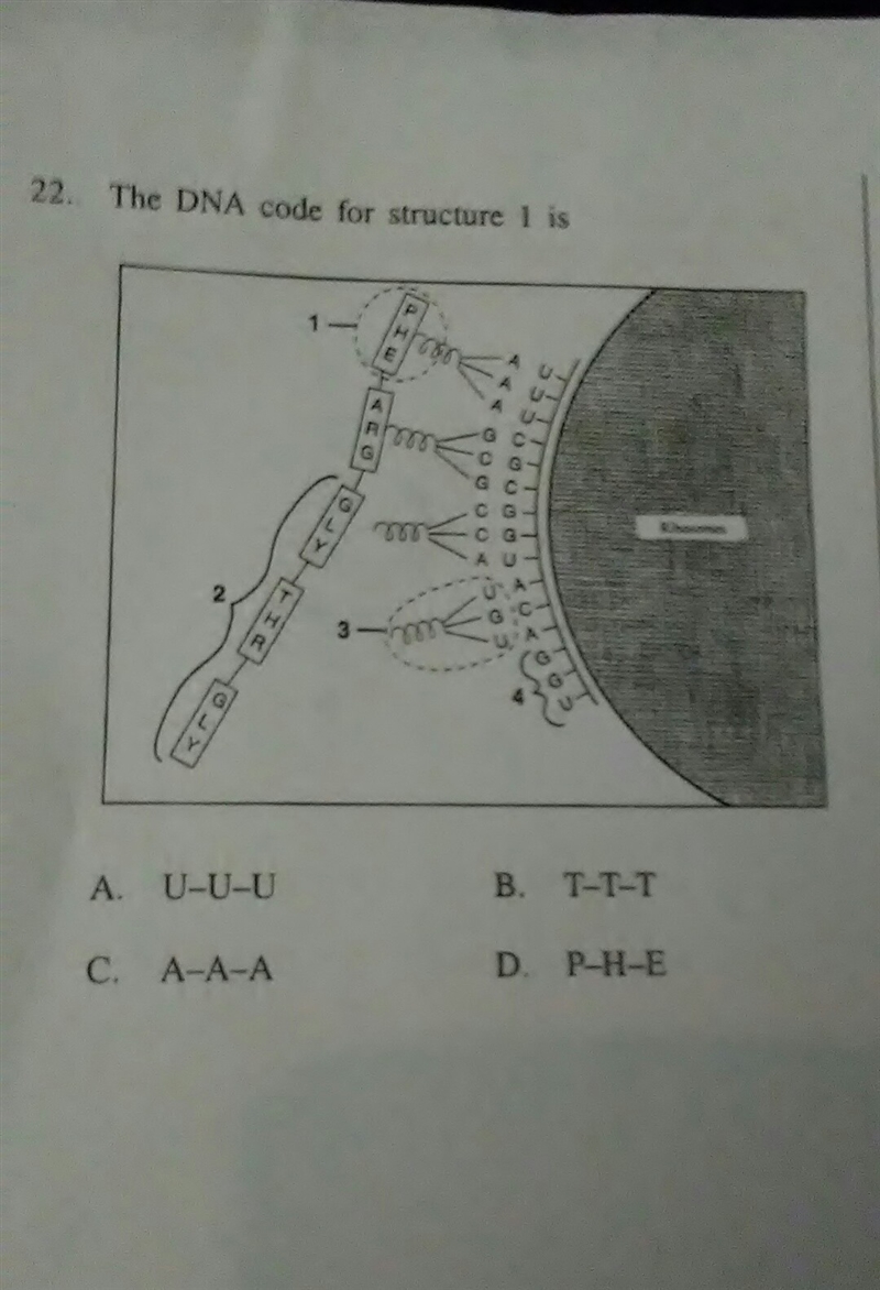 Someone please help me out-example-1