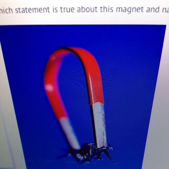 Which statement is true about this magnet and nails? A. Both the magnet and the nails-example-1