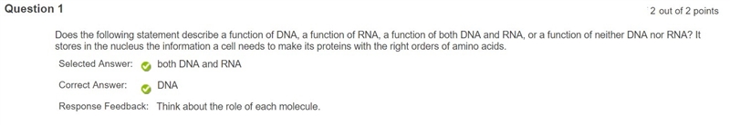 Does the following statement describe a function of DNA, a function of RNA, a function-example-1