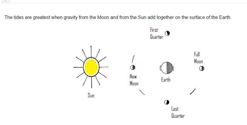 From the above diagram, which phase of the Moon will result in the greatest difference-example-1