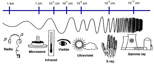 All of the waves in the electromagnetic spectrum are _______ waves. A) compression-example-1