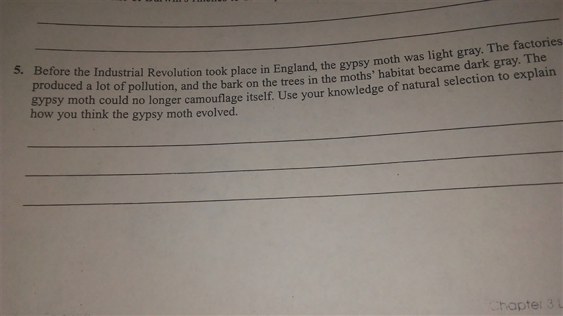 Can someone help me today!? ASAP!!! Only number 5 I need the answer today!!!!!!-example-1