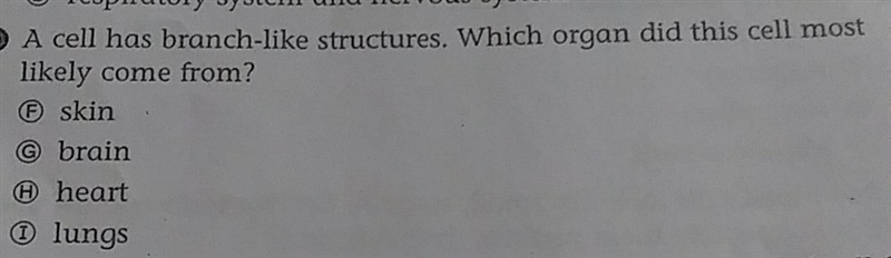 what organ does the branch like structures most likely come from? the choices a b-example-1