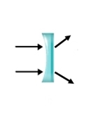 HELP PLEASE! Which diagram shows the correct pattern of light rays through a convex-example-2