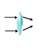 HELP PLEASE! Which diagram shows the correct pattern of light rays through a convex-example-4