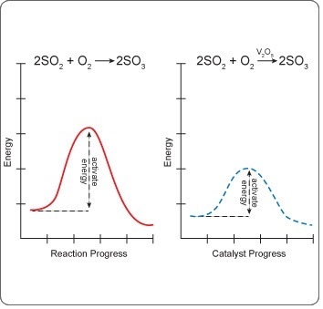 Refer to the graphs to compare the rate of this reaction with and without a catalyst-example-1