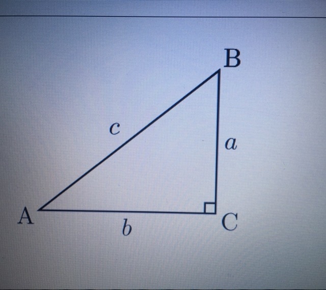 Sin A = ? A. b/c B. a/c C. c/a D. a/b what is the correct answer-example-1