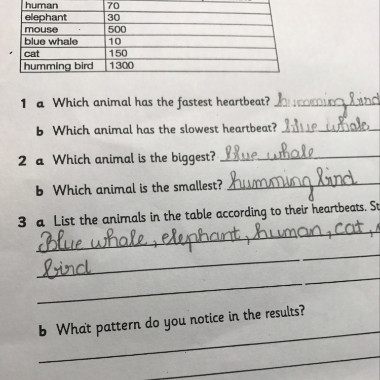 What pattern do you notice in the results-example-1