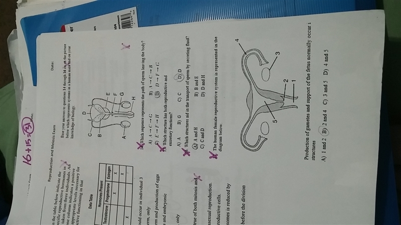 Can you answer from question 14 thrown 17.-example-1