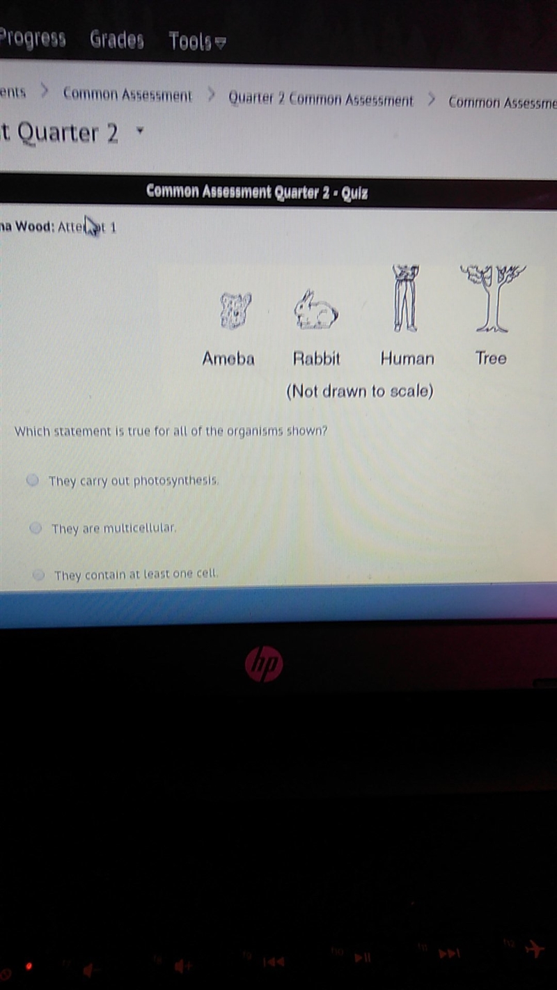 Which statment is true for all of the organisms shown?-example-1