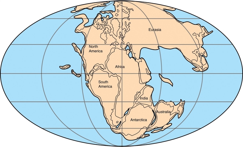 3. According to the Theory of Continental Drift, what did the Earth’s continents look-example-1