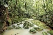 Why might people outside of Latin America want to preserve the Amazon Basin ?-example-2