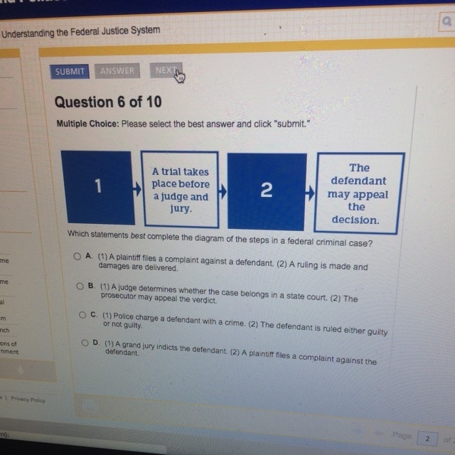 Which statement best completes the diagram of the steps in the federal criminal case-example-1