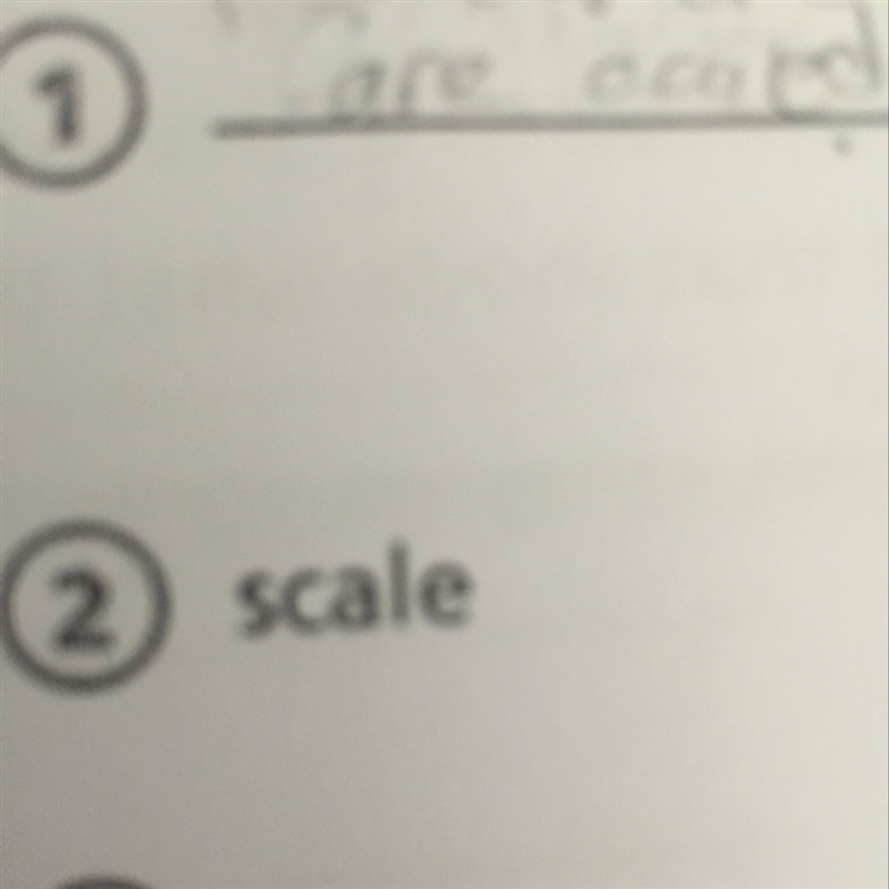 What does scale mean is science?-example-1