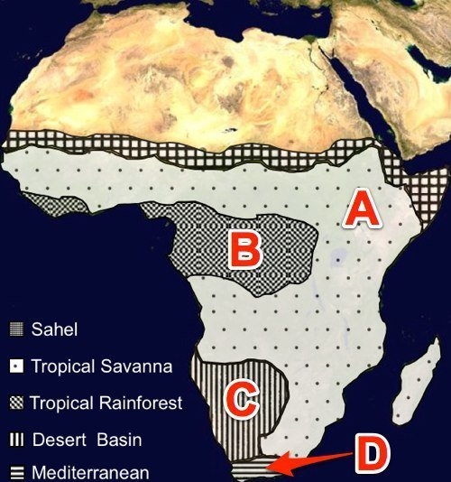 Which climate zone would be LEAST likely to have a concentrated population? A) B) C-example-1