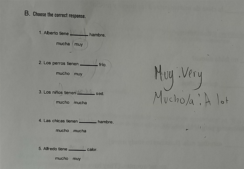 How am I supposed to know when to use muy or mucho?!?! I know what each of them means-example-1