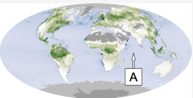 In this world map, land areas are colored green and ocean areas are colored blue. The-example-1