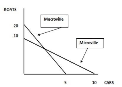 Both Microville and Macroville have an equal amount of resources and the same access-example-1