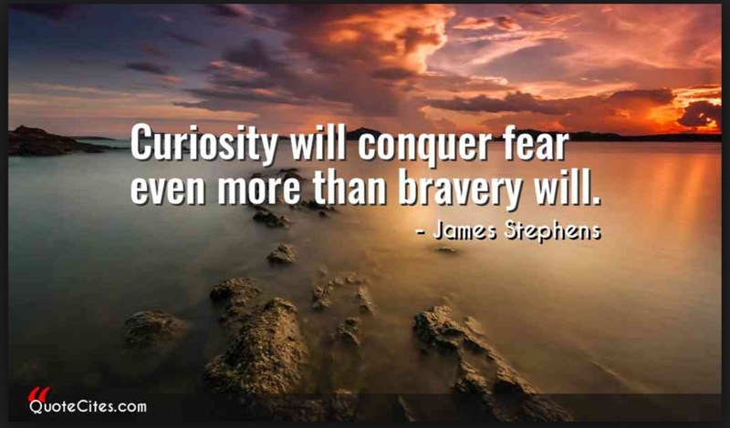 Is curiosity stronger than fear?-example-1