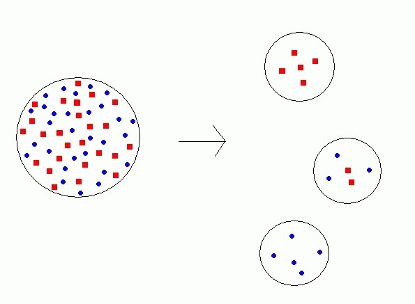 What are the properties of the founder effect? A. Adaptive, may be gradual or dramatic-example-1