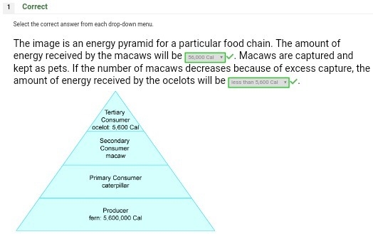 The image is an energy pyramid for a particular food chain. The amount of energy received-example-1