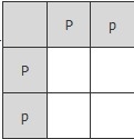 P indicates the allele for purple flowers,and p indicates the allele for white flowers-example-2