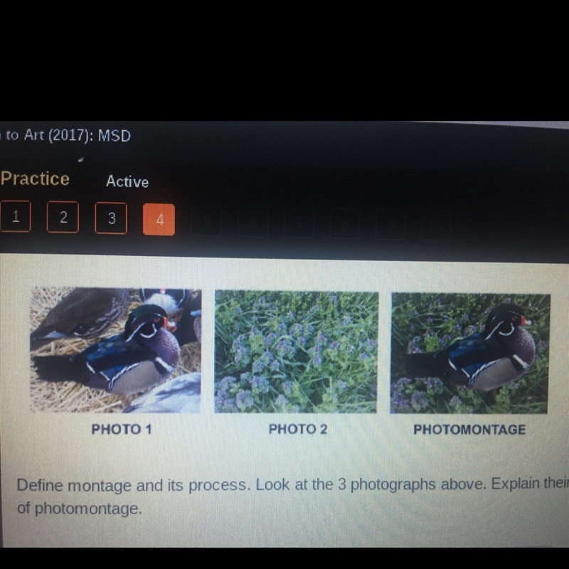 define montage and it’s process. look at the 3 photographs above. explain their relationship-example-1