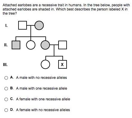 Attached earlobes are a recessive trait in humans. In the tree below, people with-example-1