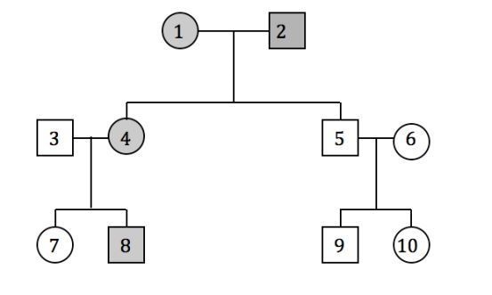 In the pedigree shown, the presence of a dominant autosomal genetic disorder is indicated-example-1