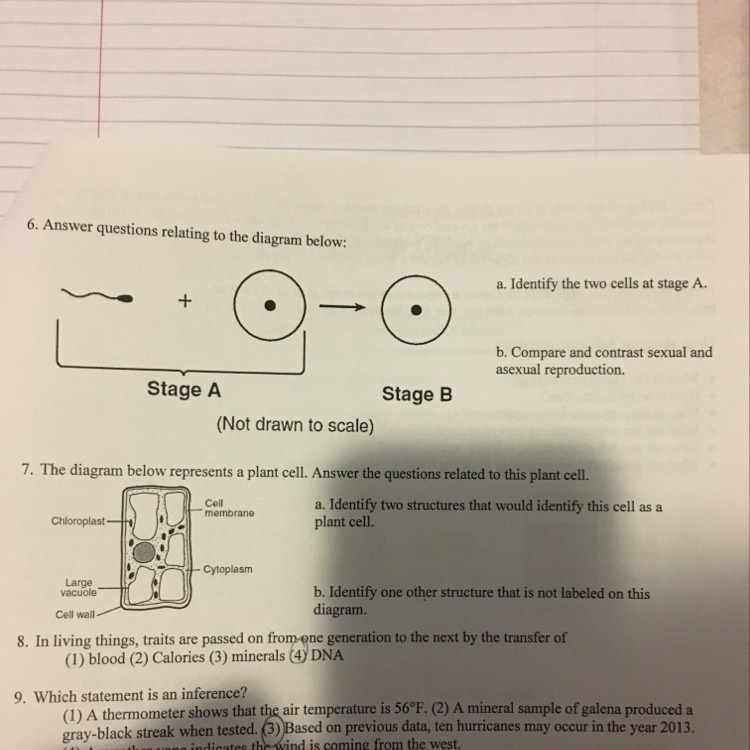 Please help with number 6 and 7 both parts a and b.-example-1