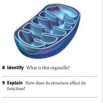 Please answer both questions :)-example-1