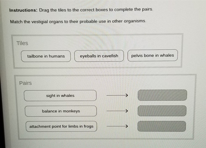 Match the vestigal organs to their probable use in other organs-example-1