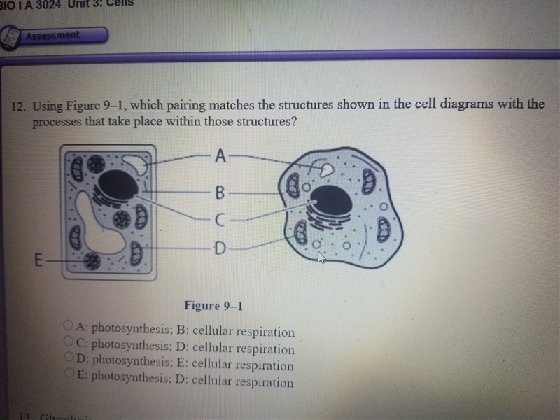 using figure 9-1, which pairing matches the structures shown in the cell diagrams-example-1