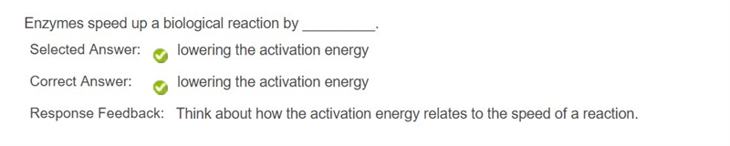 Enzymes speed up a biological reactions by______-example-1