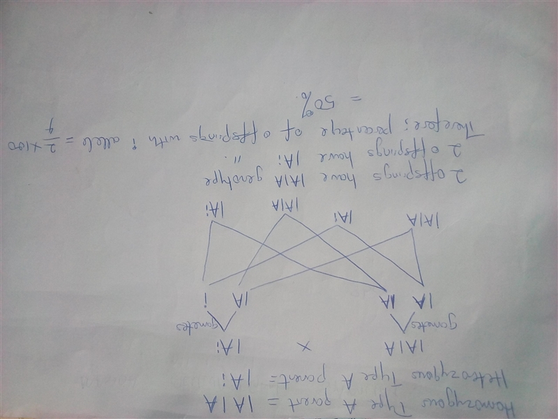 OFFERING ALL MY POINTS PLEASE HELP!!!!!! The ABO blood group has three different alleles-example-1