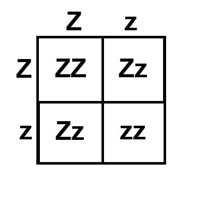 Which alleles are on the outside of a Punnett square? A. parents B. only the female-example-1