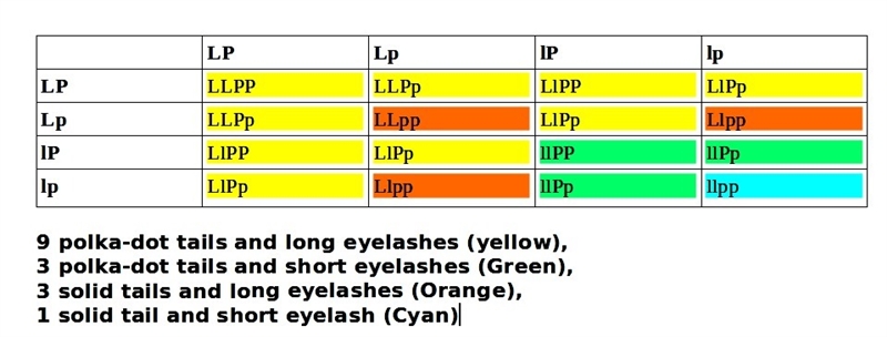 Suppose that a dominant allele (P) codes for a polka-dot tail and a recessive allele-example-1