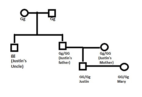 Mary marries an unaffected man, justin, whose paternal uncle has galactosemia. determine-example-1