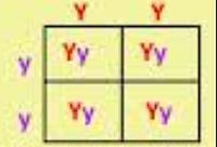 In pea plants, yellow seed color is dominant and green seed color is recessive. What-example-1