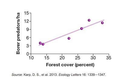 The abundance of birds and other predators of borer beetles depends on how much natural-example-1