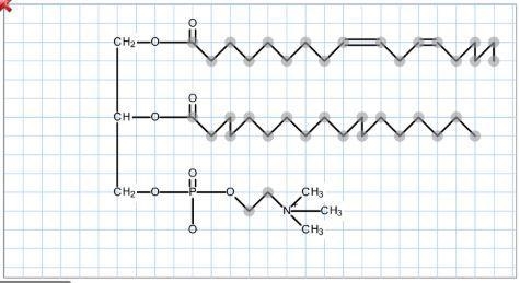 Complete hydrolysis of a glycerophospholipid yields glycerol, two fatty acids (18:2(δ9,12) and-example-1