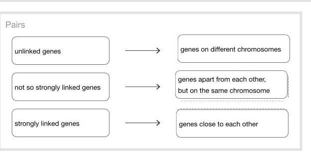 Match the genes with their linkage ability.-example-1