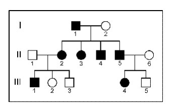 The pedigree shown above is based on a family with freckles (filled circles or squares-example-1