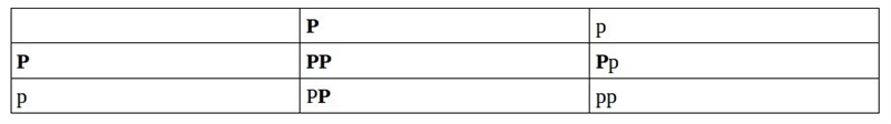 Which Punnett square represents a cross between two parents that are heterozygous-example-1