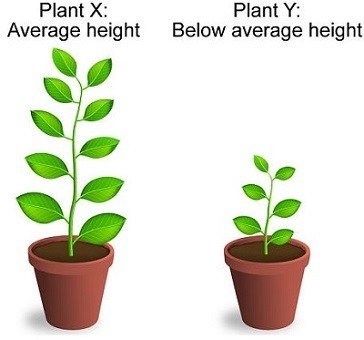 Plz, answer quickly. The diagram shows two plants. They are the same kind of plant-example-1