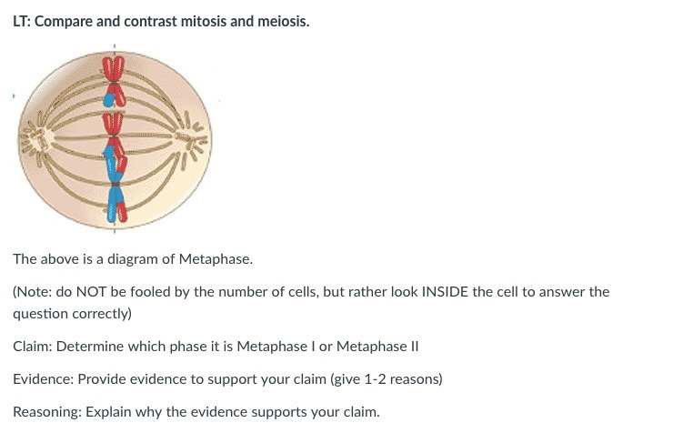 LT: Compare and contrast mitosis and meiosis.-example-1