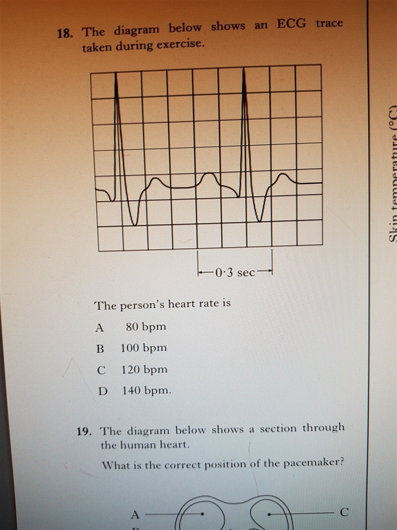 Does anyone know how to do this-example-1