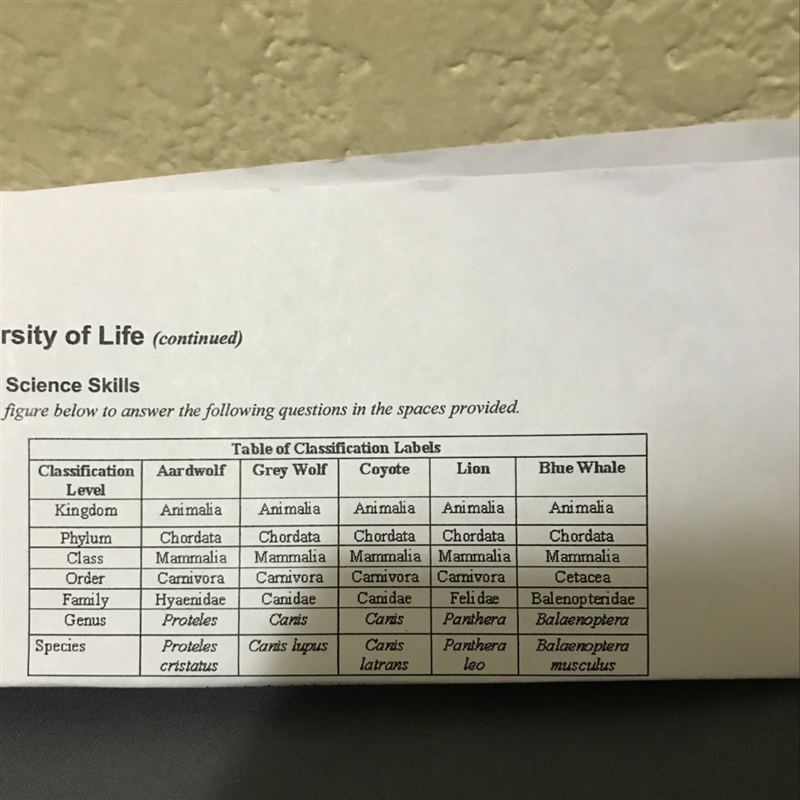 Which of the organisms in the table is least similar to the others ? Explain-example-1