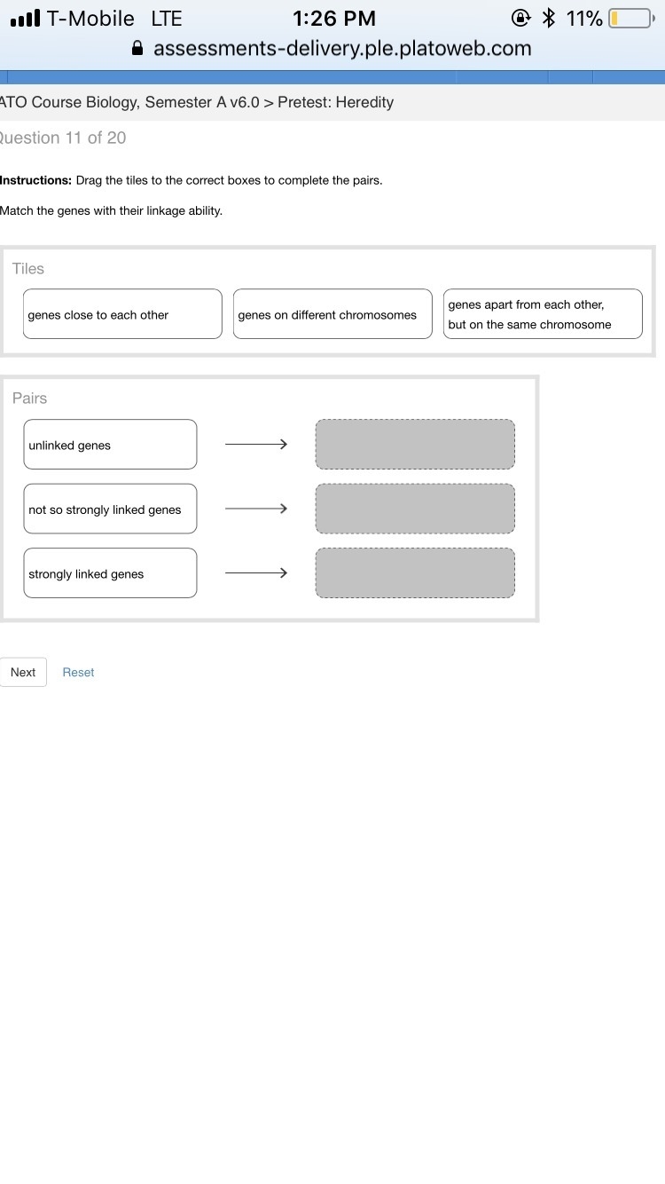 Match the genes with their linkage ability.-example-1